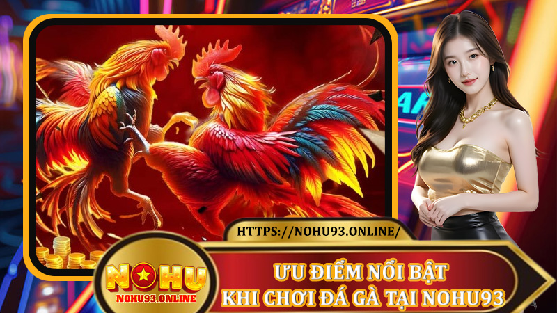 Ưu điểm nổi bật khi chơi đá gà tại Nohu93