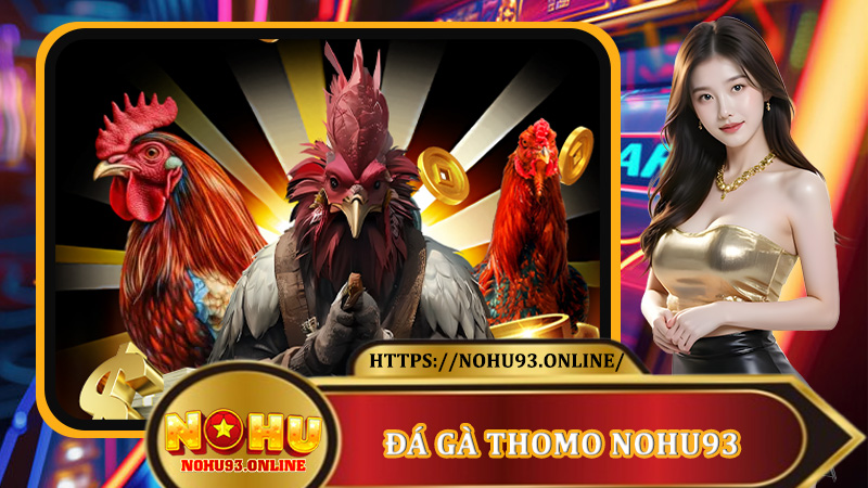 Đá Gà Thomo Nohu93 - Từ Đấu Trường Huyền Thoại Đến Trải Nghiệm Số 1 Online