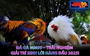 Đá Gà MM99 – Trải Nghiệm Giải Trí Sinh Lời Hàng Đầu 2025!