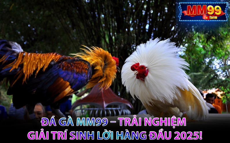 Đá Gà MM99 – Trải Nghiệm Giải Trí Sinh Lời Hàng Đầu 2025!