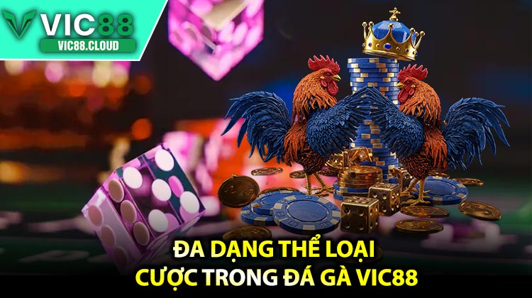 Đa dạng thể loại cược trong Đá Gà VIC88