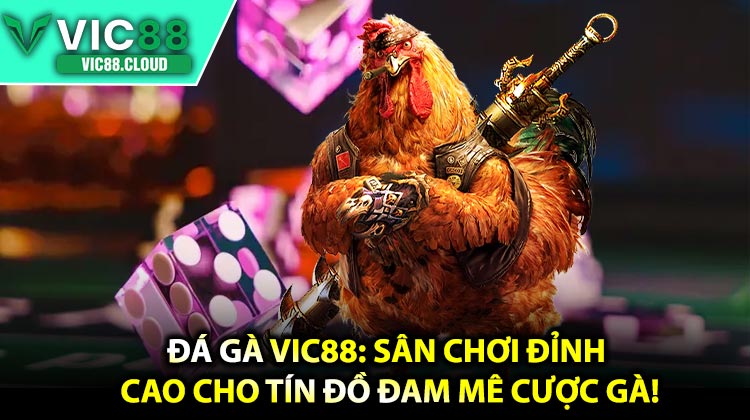 Đá Gà VIC88: Sân Chơi Đỉnh Cao Cho Tín Đồ Đam Mê Cược Gà!