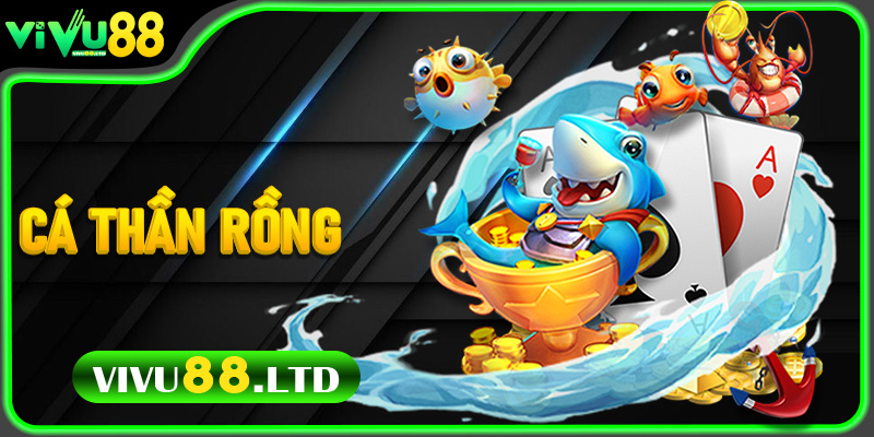 Cá Thần Rồng - Thế giới cá thần thú vị