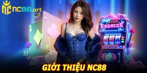 Giới Thiệu NC88 – Nền Tảng Giải Trí Trực Tuyến Được Quan Tâm Hiện Nay