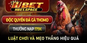 Luật Chơi, Cách Chọn Gà Và Mẹo Thắng Hiệu Quả