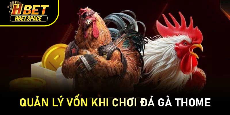 Quản Lý Vốn Khi Chơi Đá Gà Thome